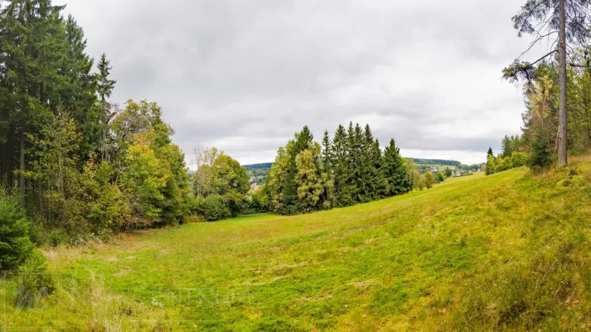 Prodej louky, Maršovice, 4745 m2