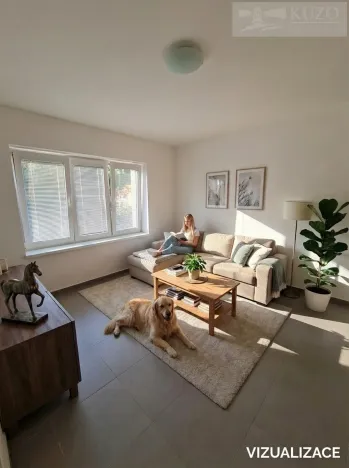 Prodej bytu 2+kk, Příbram, Březnická, 48 m2