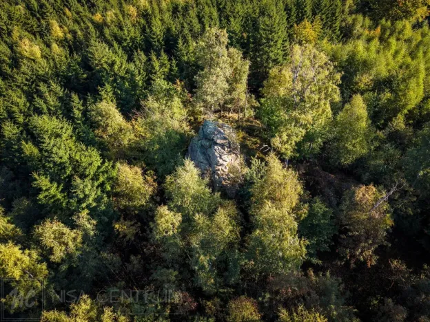 Prodej lesa, Šimonovice, 30343 m2