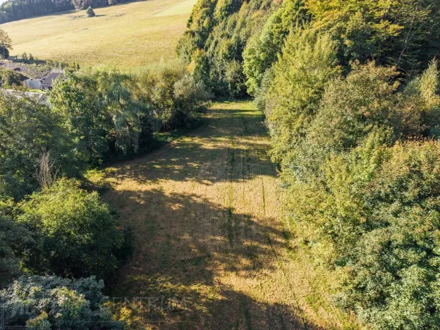 Prodej lesa, Šimonovice, 30343 m2