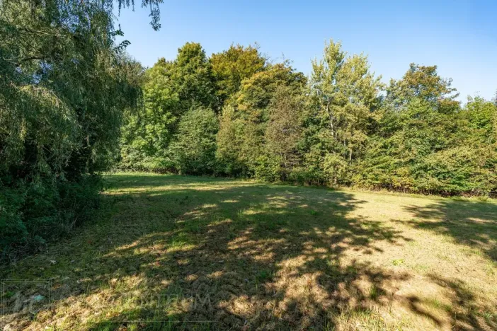 Prodej lesa, Šimonovice, 30343 m2