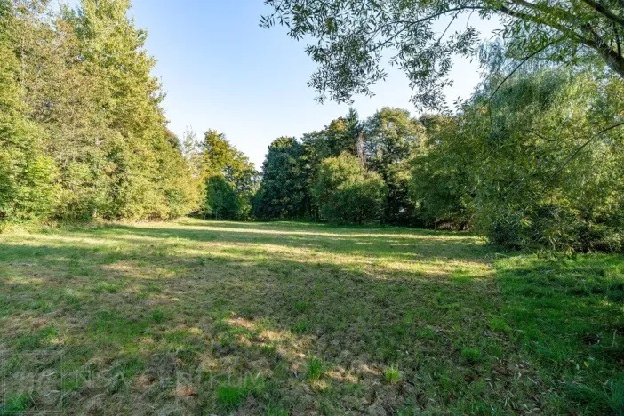 Prodej lesa, Šimonovice, 30343 m2