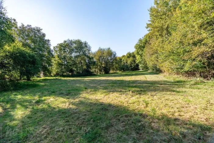 Prodej lesa, Šimonovice, 30343 m2