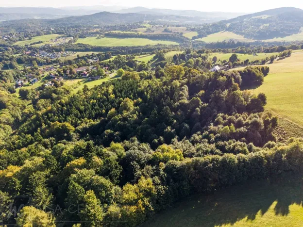 Prodej lesa, Šimonovice, 30343 m2