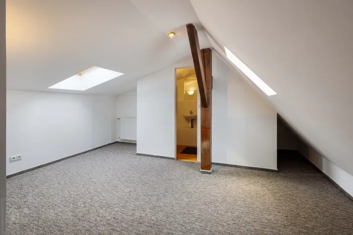 Prodej atypického bytu, Praha - Vinohrady, Vozová, 260 m2