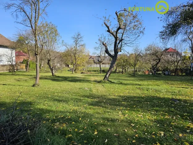 Prodej pozemku pro bydlení, Rybí, 3068 m2