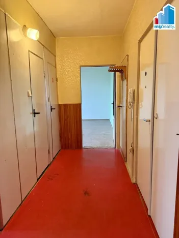 Prodej bytu 2+1, Plzeň, U Borského parku, 58 m2