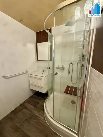 Prodej bytu 2+1, Plzeň, U Borského parku, 58 m2