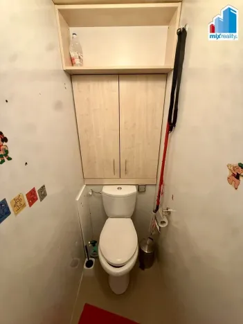 Prodej bytu 2+1, Plzeň, U Borského parku, 58 m2