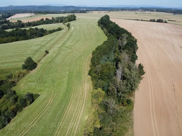 Prodej lesa, Obruby, 3075 m2