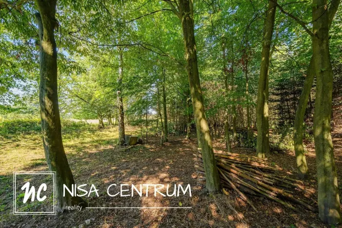 Prodej lesa, Obruby, 3075 m2