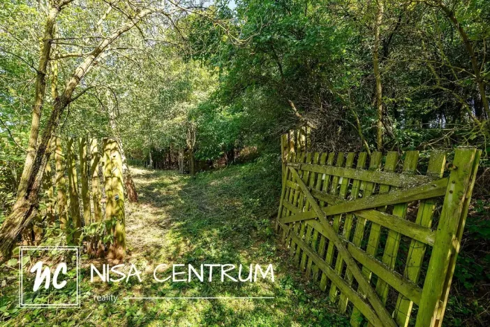 Prodej lesa, Obruby, 3075 m2