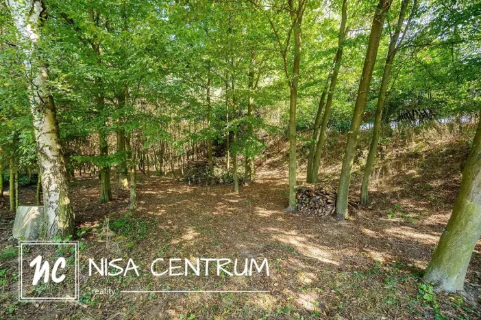 Prodej lesa, Obruby, 3075 m2