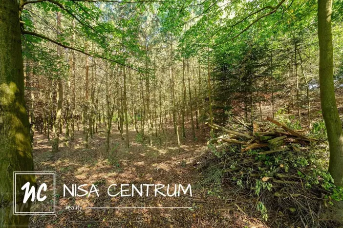 Prodej lesa, Obruby, 3075 m2