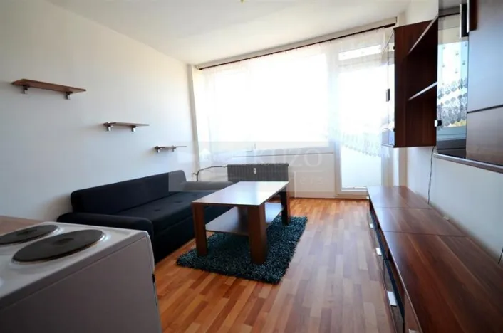 Pronájem bytu 1+kk, Chomutov, Seifertova, 22 m2