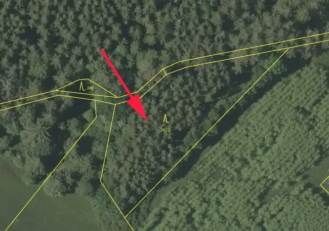 Prodej podílu lesa, Dlažov, 1468 m2