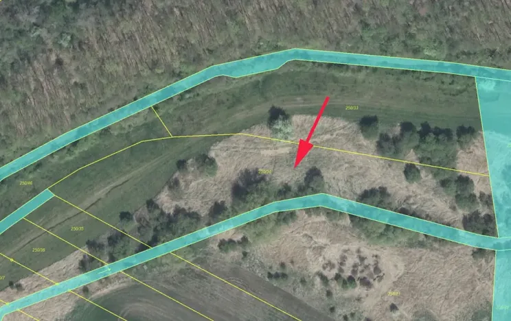 Prodej louky, Staňkovice, 6300 m2