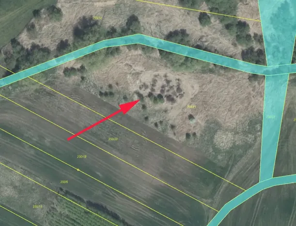 Prodej louky, Staňkovice, 7642 m2