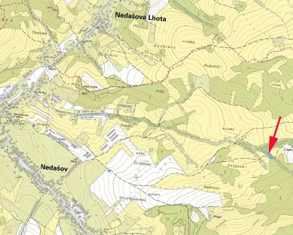 Prodej podílu lesa, Nedašov, 632 m2