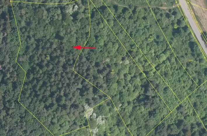 Prodej podílu louky, Jankovice, 4420 m2