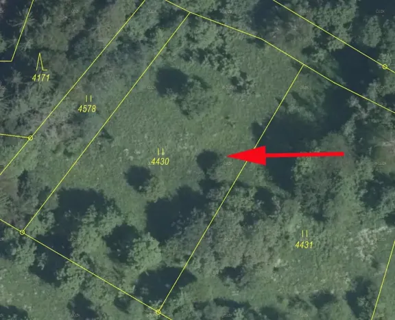 Prodej louky, Železný Brod, 2213 m2