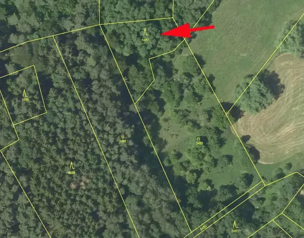 Prodej lesa, Borotín, 1374 m2