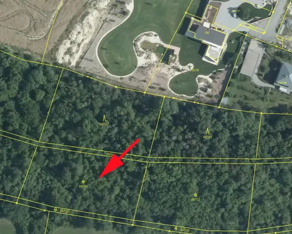 Prodej lesa, Skuteč, 2985 m2