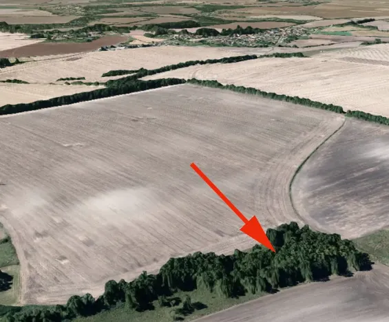 Prodej podílu lesa, Koštice, 1499 m2