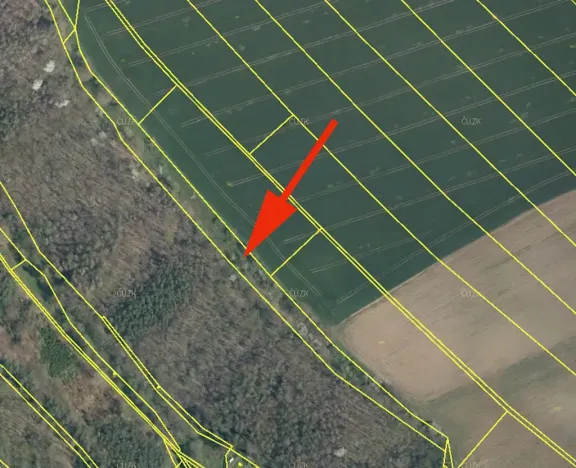 Prodej podílu lesa, Hrdlořezy, 3528 m2