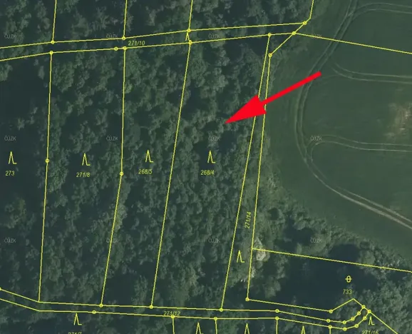 Prodej lesa, Zlatá Koruna, 2465 m2