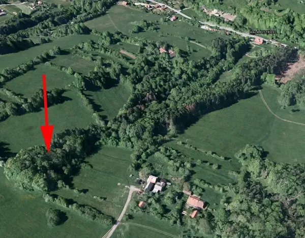 Prodej podílu lesa, Malá Bystřice, 1421 m2