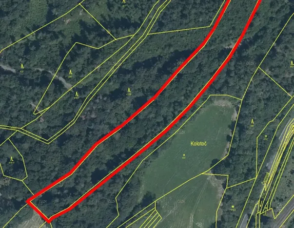 Prodej lesa, Odry, 17778 m2