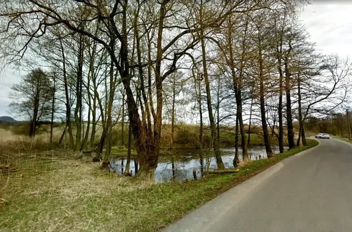 Prodej rybníku, Česká Lípa, 13573 m2