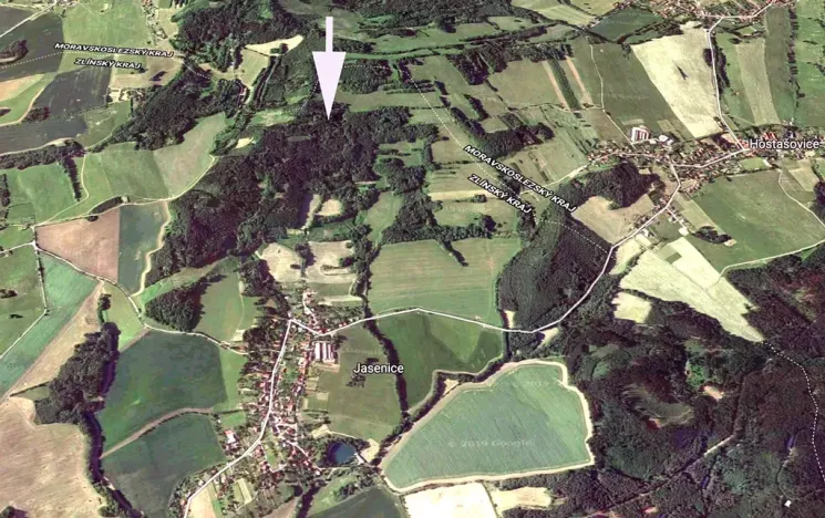 Prodej lesa, Lešná, 10970 m2