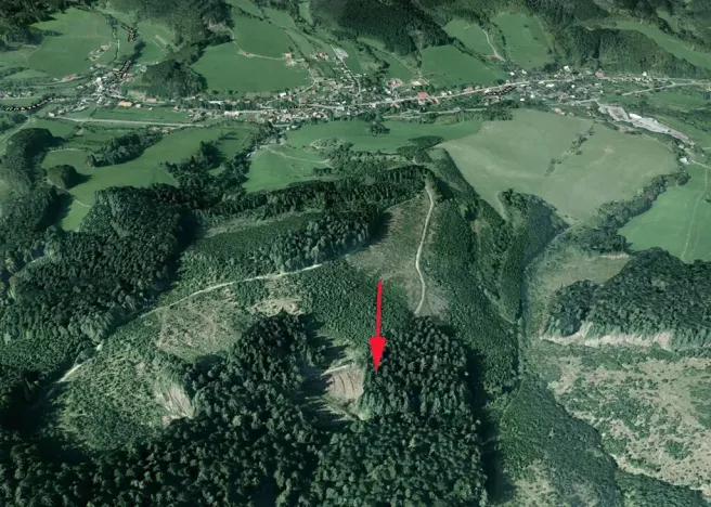 Prodej lesa, Lhota u Vsetína, 7226 m2