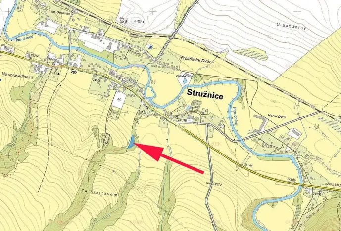 Prodej lesa, Stružnice, 2484 m2