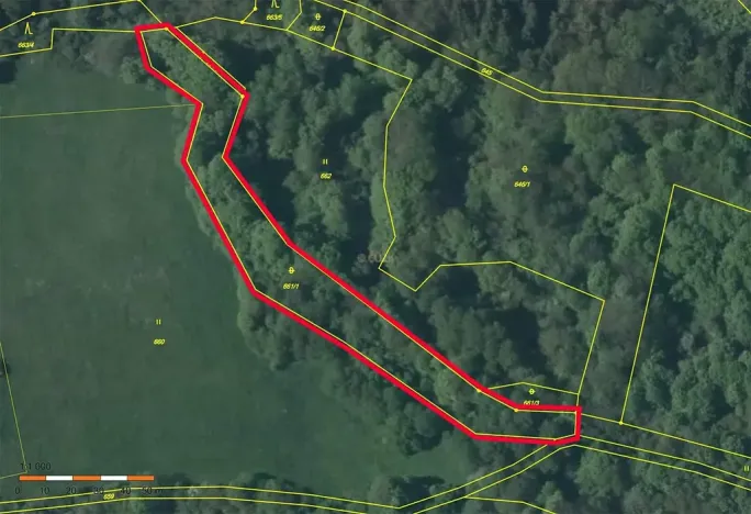 Prodej lesa, Kozly, 3340 m2