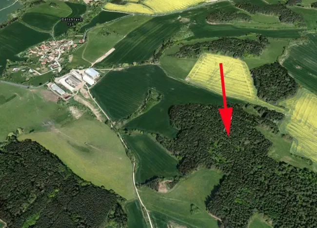 Prodej lesa, Úlehle, 21886 m2