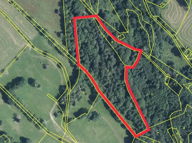 Prodej lesa, Trutnov, 21468 m2