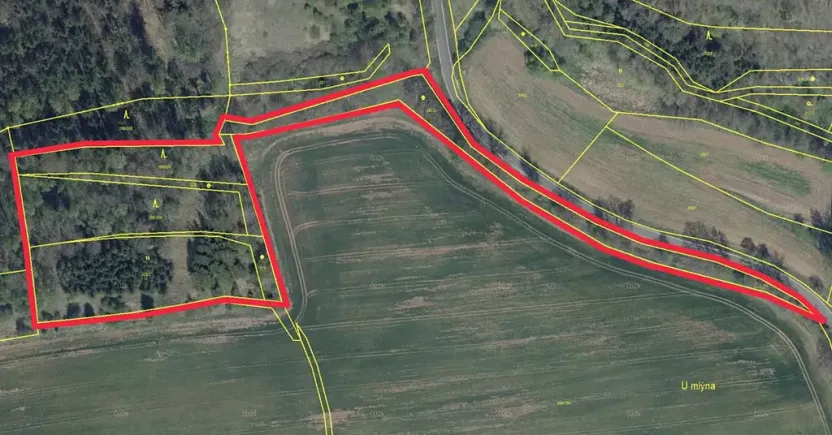 Prodej lesa, Tuchořice, 13223 m2