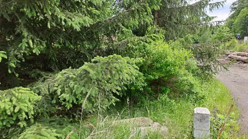 Prodej pozemku, Nejdek, 104 m2