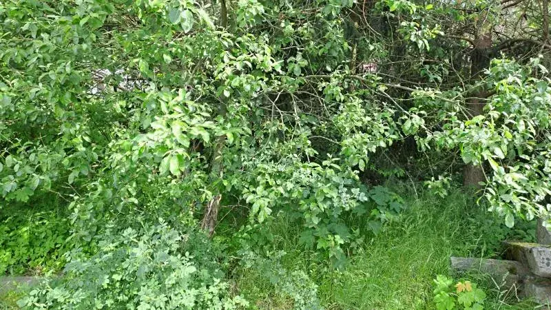 Prodej pozemku, Nejdek, 104 m2