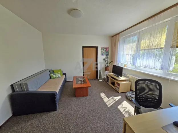 Prodej bytu 2+1, Ostrava - Moravská Ostrava, Hornická, 44 m2