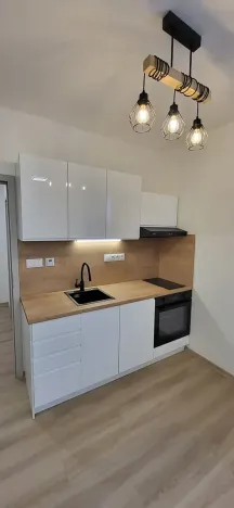Pronájem bytu 1+kk, Nový Jičín, Palackého, 25 m2