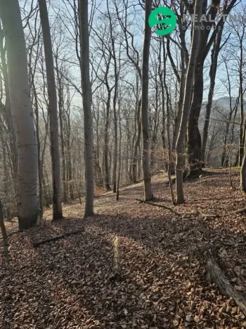 Prodej lesa, Vsetín, Semetín, 96946 m2