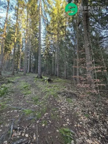 Prodej lesa, Vsetín, Semetín, 96946 m2