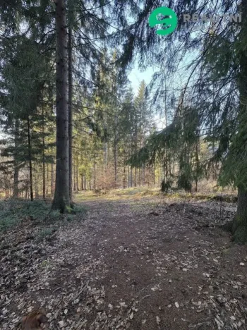 Prodej lesa, Vsetín, Semetín, 96946 m2