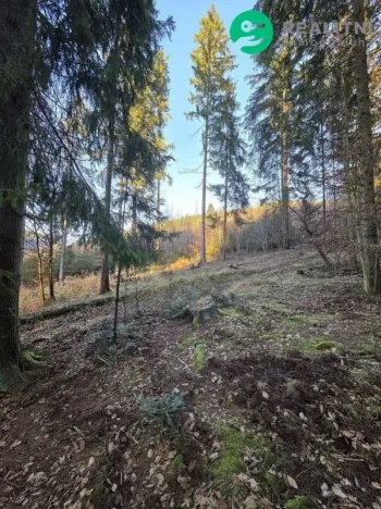 Prodej lesa, Vsetín, Semetín, 96946 m2