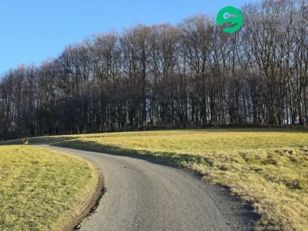 Prodej lesa, Vsetín, Semetín, 96946 m2