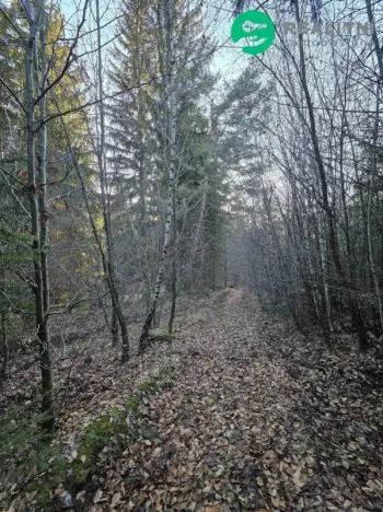 Prodej lesa, Vsetín, Semetín, 96946 m2